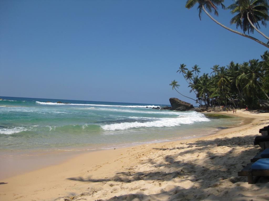 Lazy Lizard Hotel Galle Kültér fotó