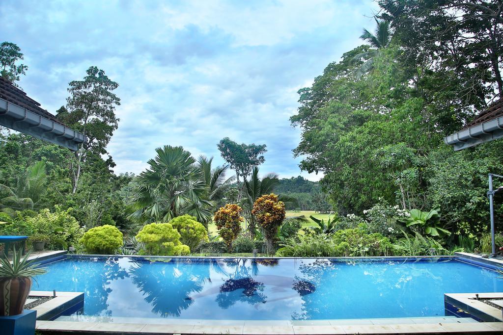 Lazy Lizard Hotel Galle Kültér fotó